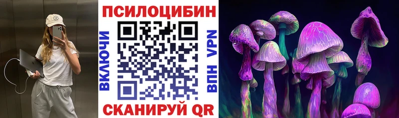 Галлюциногенные грибы Psilocybe  Купить закладки  Дивногорск 